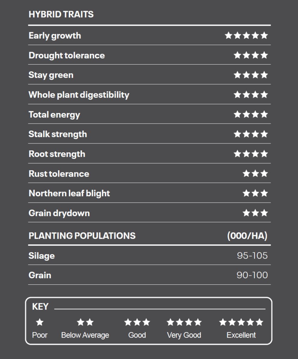 Booster Corson Maize traits